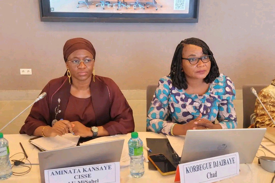 Dialogue de haut niveau du réseau FemWise Africa